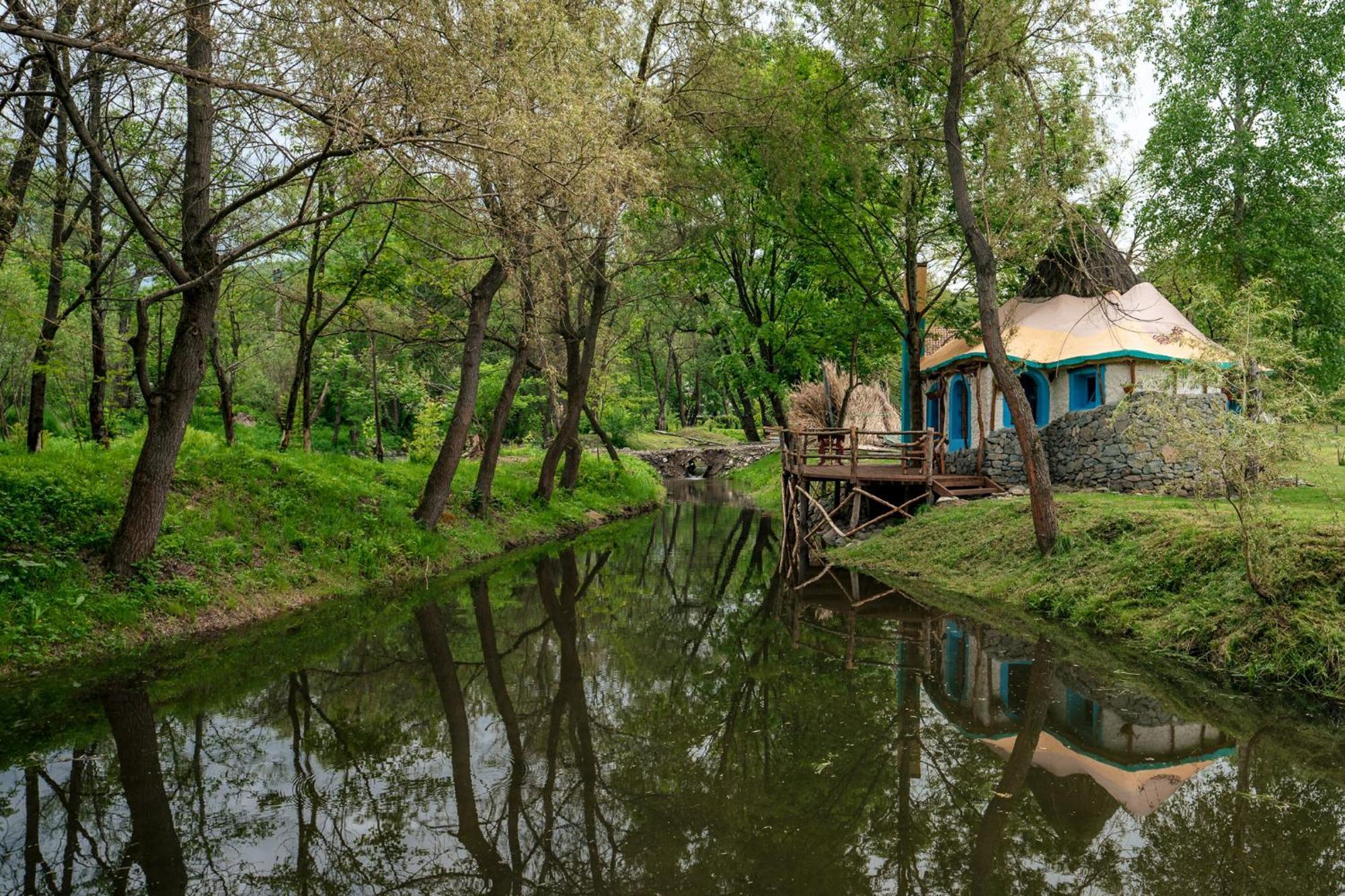 Viewtopia The Secret Land Valea Drăganului Eksteriør billede