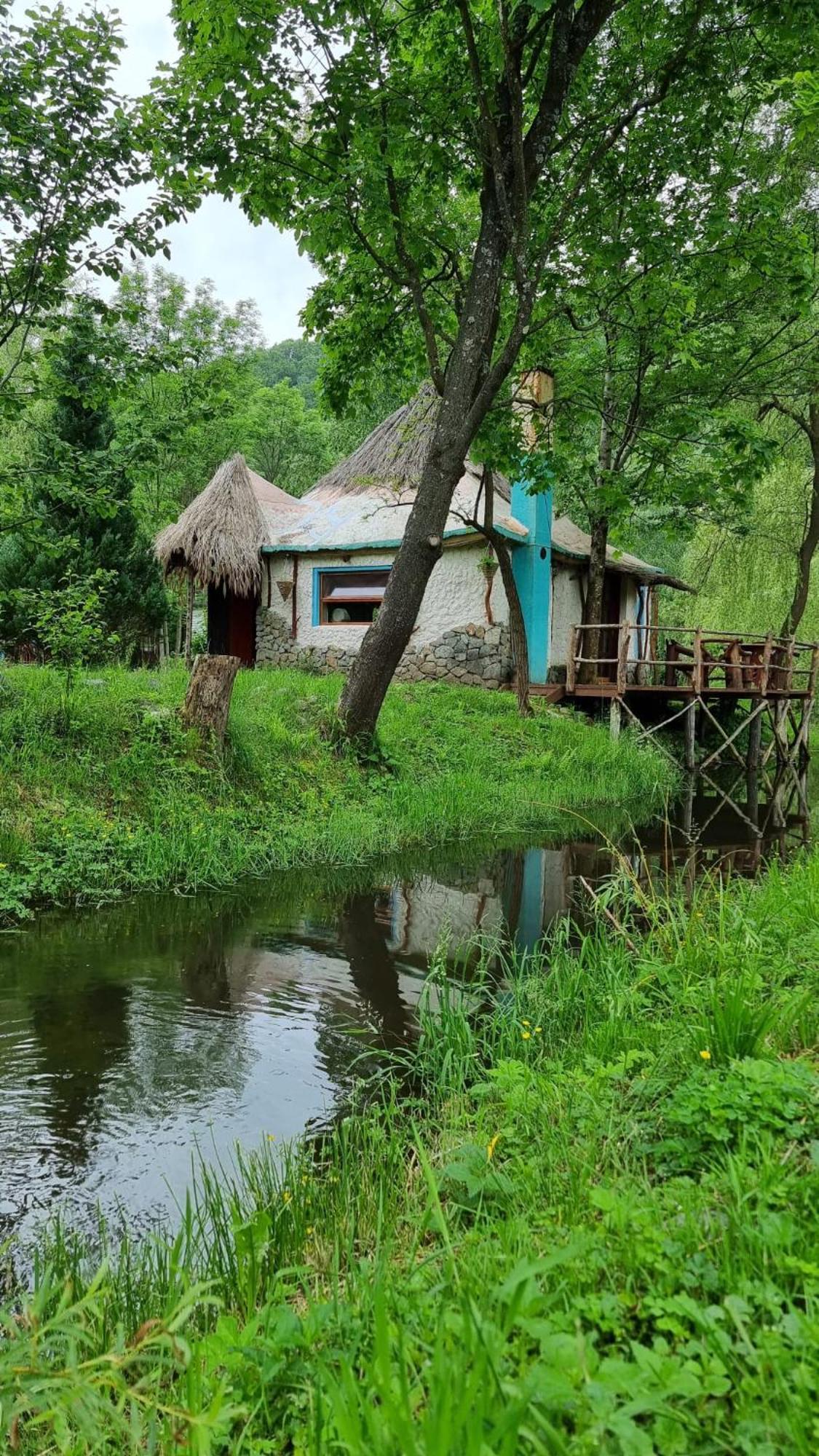 Viewtopia The Secret Land Valea Drăganului Eksteriør billede